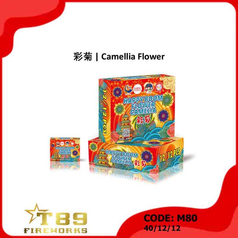 M80 | 彩菊 | Camellia Flower