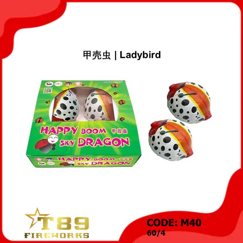 M40 | 甲壳虫 | Ladybird