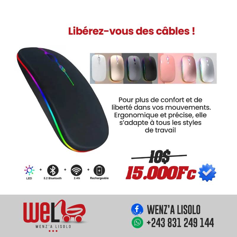 Souris sans fils
