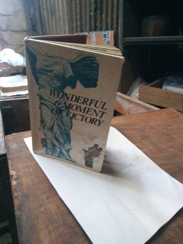 Wonderful Moment of Victory 1983