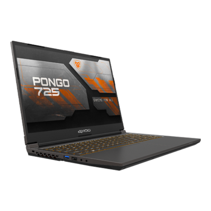 AXIOO Pongo 725 Core i7-12650H RAM 16GB SSD 512GB Nvidia RTX 2050 Win 11 Pro 15.6" FHD 144Hz