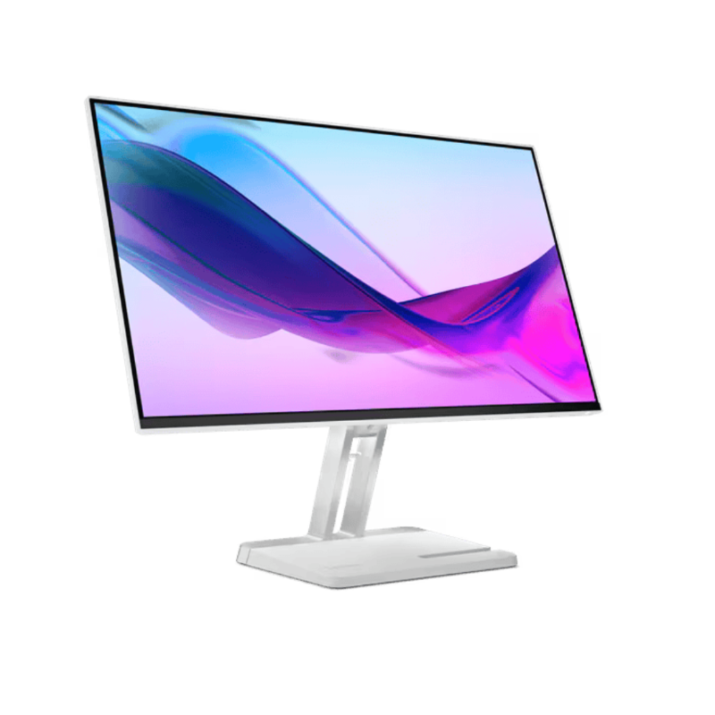 Monitor Lenovo L24i-4a 23.8" FHD IPS 100Hz