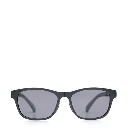 CRUISE WAYFARER