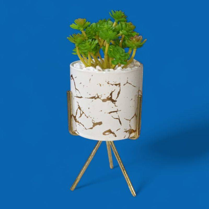 فازة