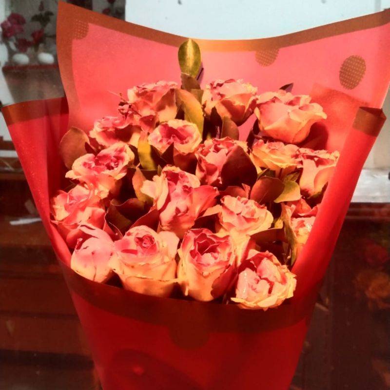 লাল গোলাপ-ধরণ ১