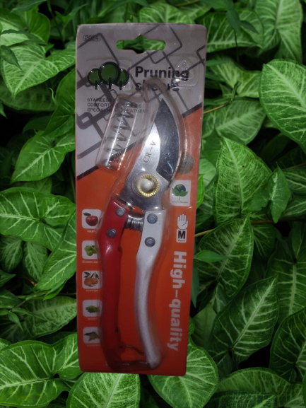 কাচিঁ "বাগান সরঞ্জাম - 8 ইঞ্চি