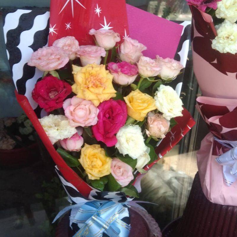 মিক্সড গোলাপ