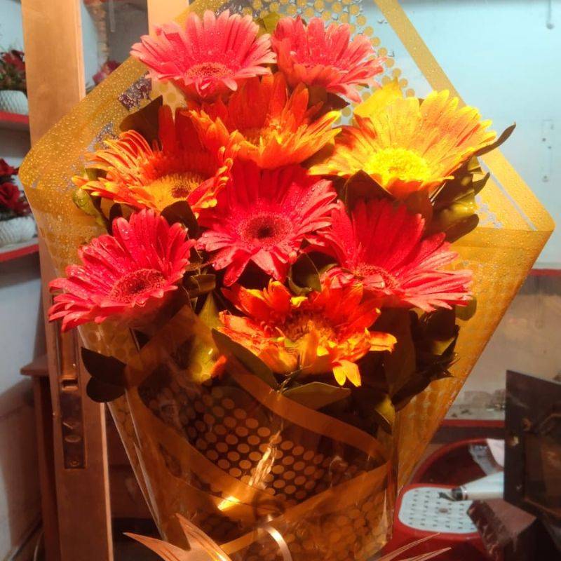 গারবেরা ফুল