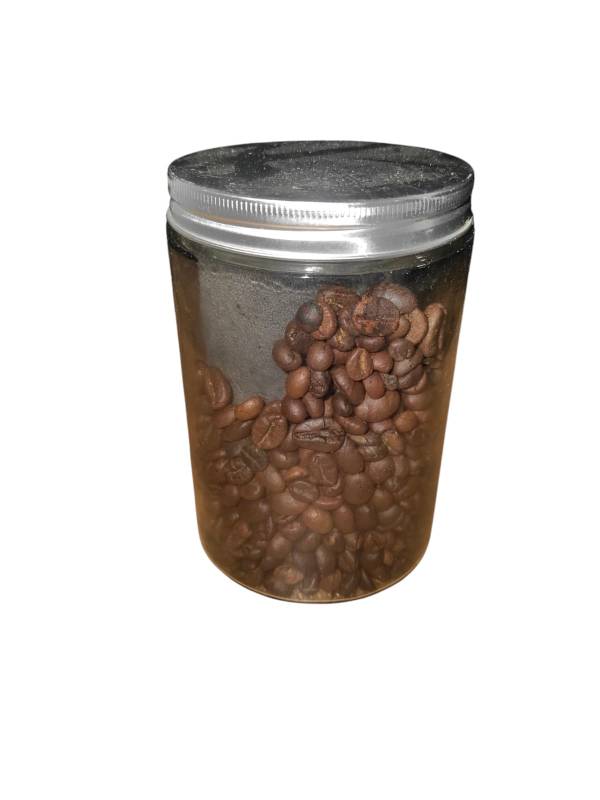 toples kopi 2