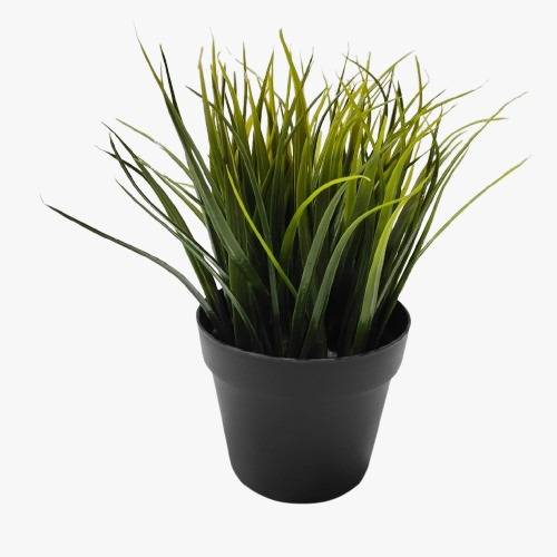 Vas  isi Rumput