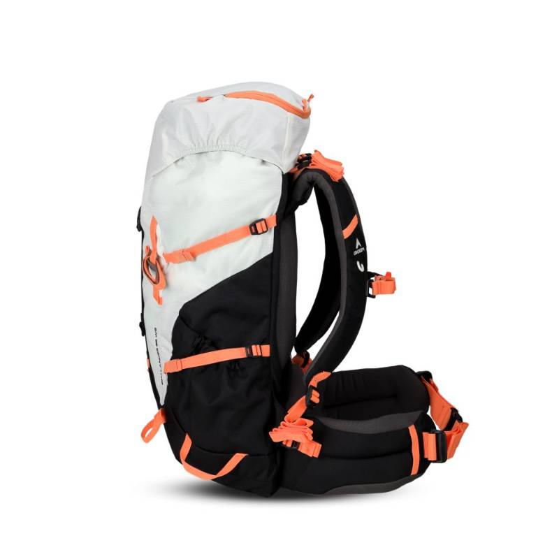 PHALANGER 35 WS