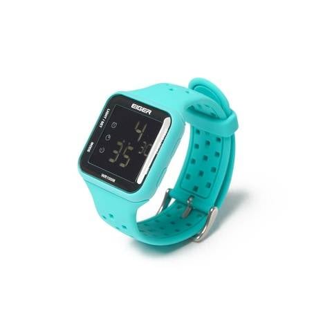 WS MONTANA WATCH