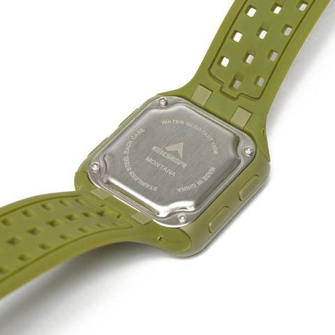 WS MONTANA WATCH