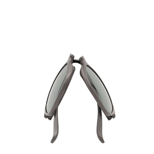 CRUISE WAYFARER