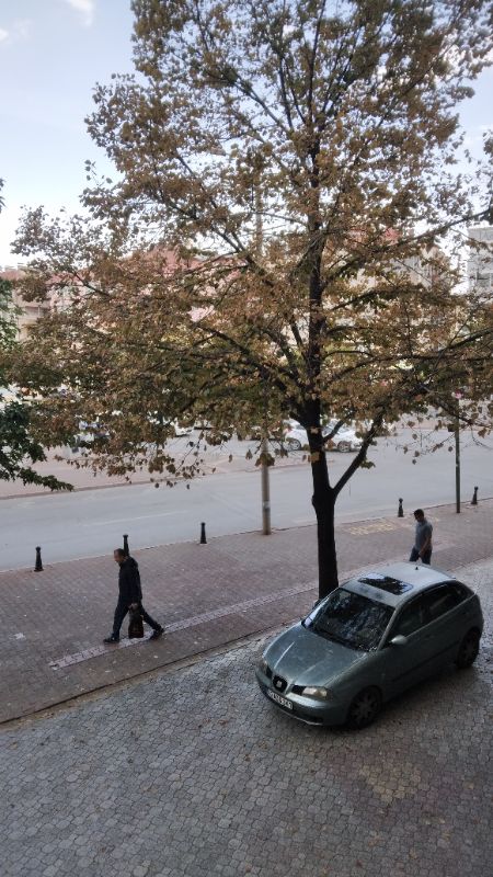 Konya / Selcuklu / Nisantasi / YahyaCavus 2