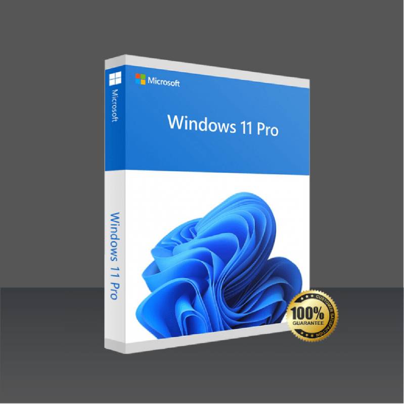 Instalación y activación de Windows 11 Pro