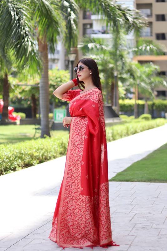Handloom 404 - Banglori Handloom Weaving Raw Silk Saree