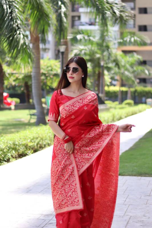 Handloom 404 - Banglori Handloom Weaving Raw Silk Saree