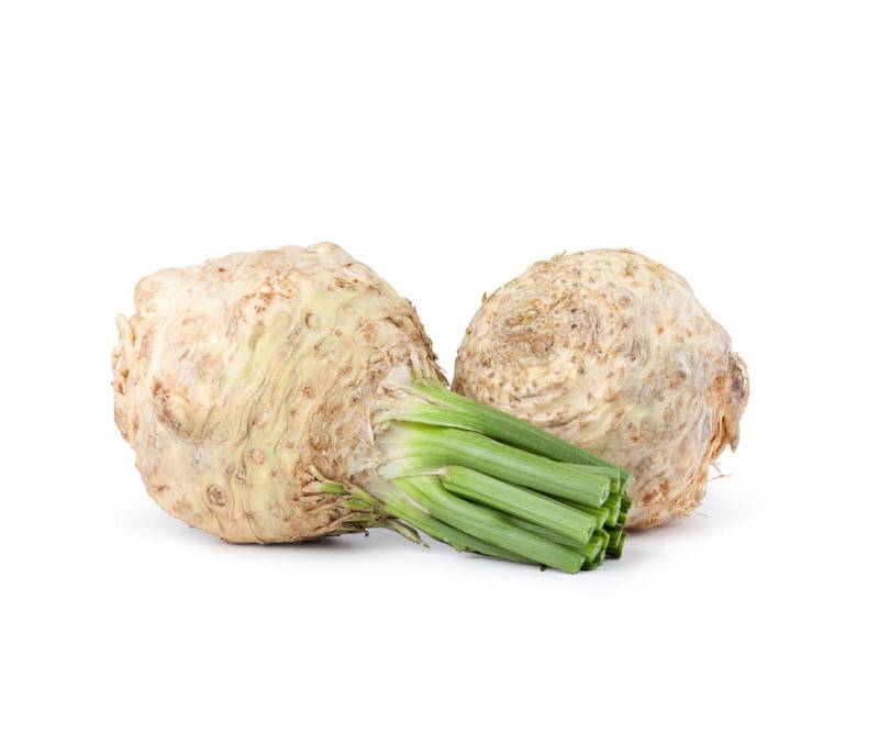 Rădăcină de țelină