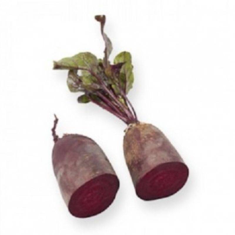 Sfeclă roșie