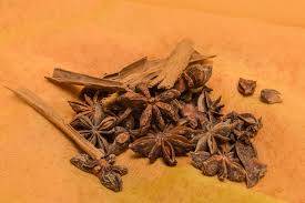Ani Seed