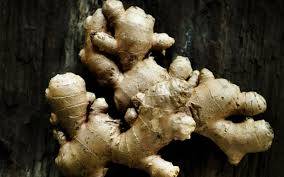 Galangal