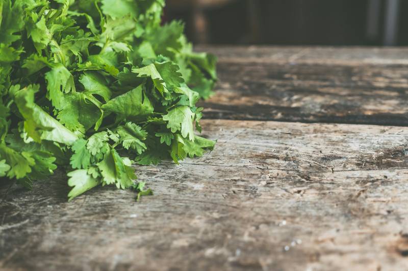 PARSLEY LEAF