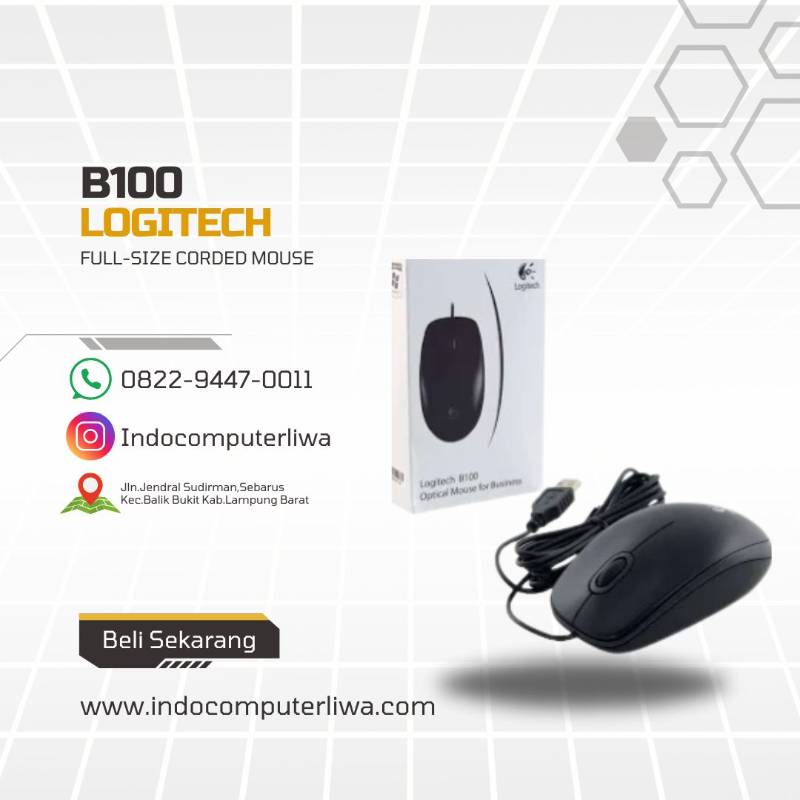 B100