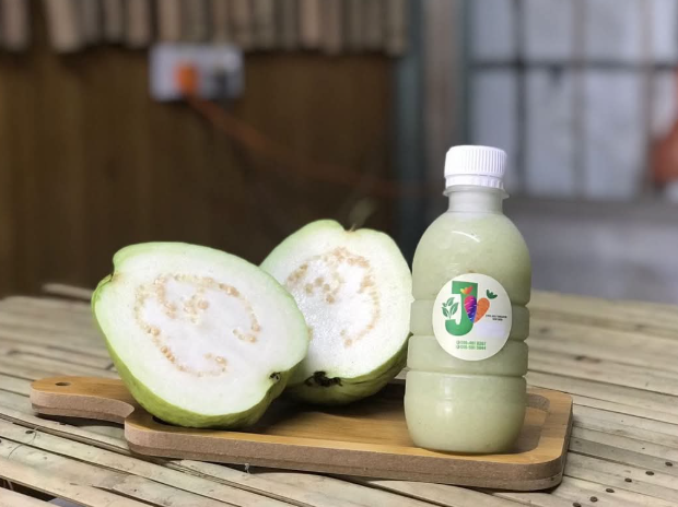 Lohan Guava Pure Juice 罗汉番石榴纯汁