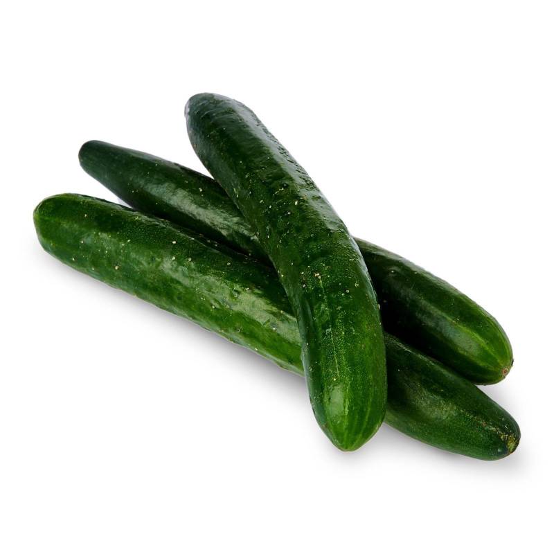Japanese Cucumber 日本青瓜