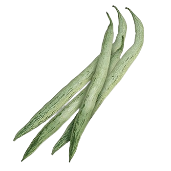 Snake Gourd/Petola Ular 蛇瓜