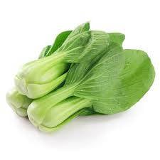 Xiao Pak Choy 小白菜