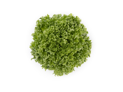 Crystal Lettuce 水晶生菜