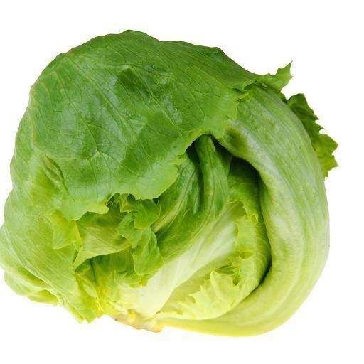 Iceberg Lettuce 玻璃生菜