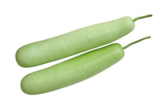 Bottle Gourd/Kundur 青浦瓜