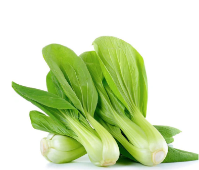 Sawi Jepun/Siew Pak Choy 小白菜