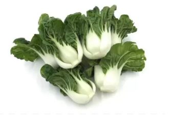 Baby Nai Pak 小奶白