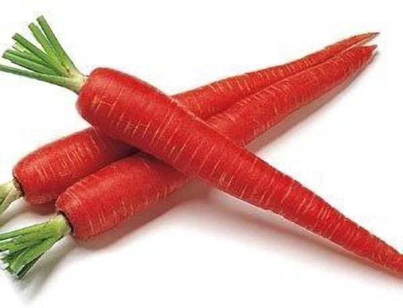 Red Carrots 红萝卜