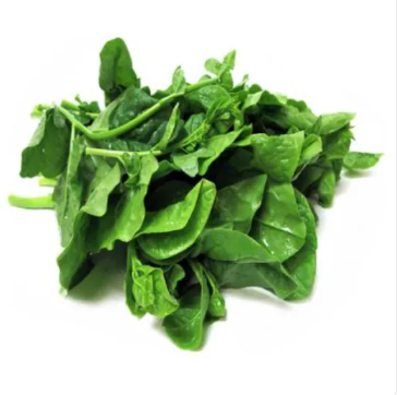 Baby Emperor Vege/Pucuk Raja 帝皇苗