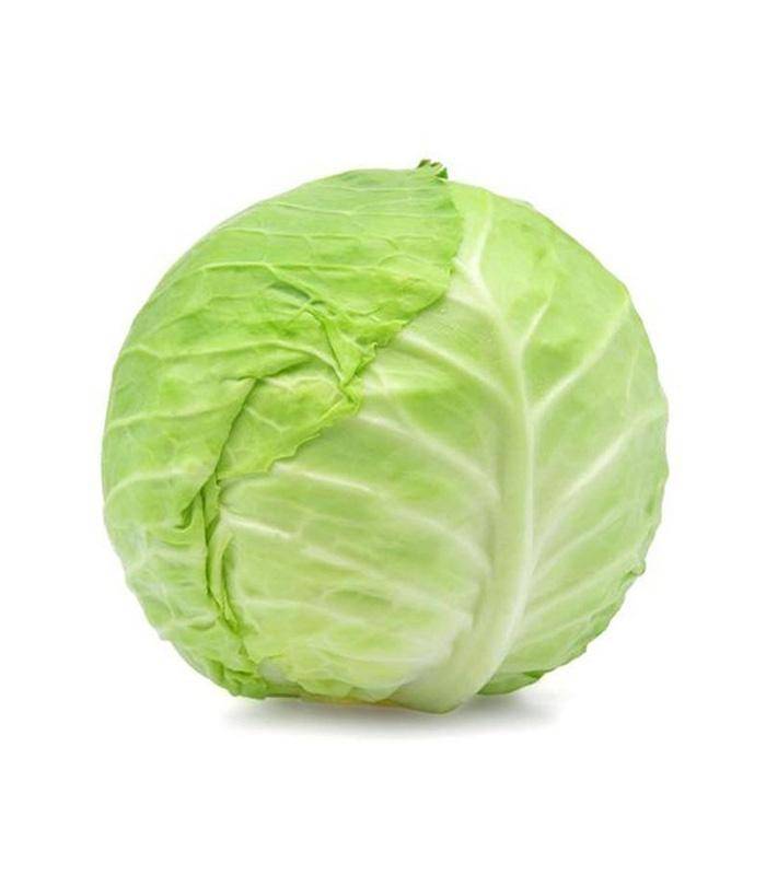 Beijing Sweet Cabbage 北京甜包菜