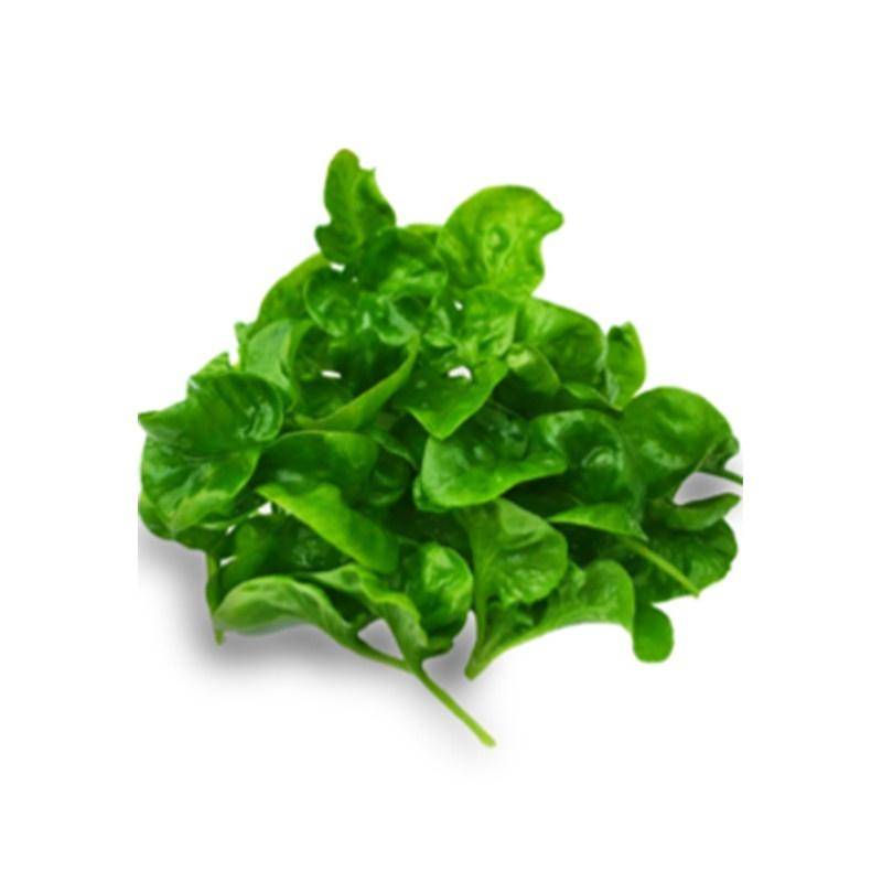 Brazilian Spinach