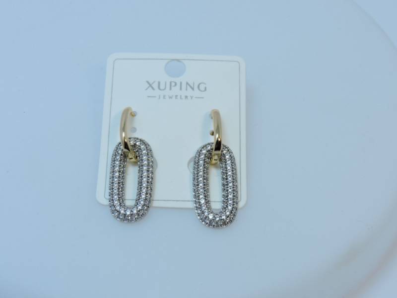 Earrings1