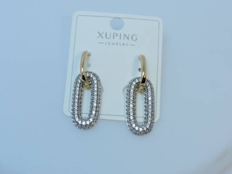Earrings1