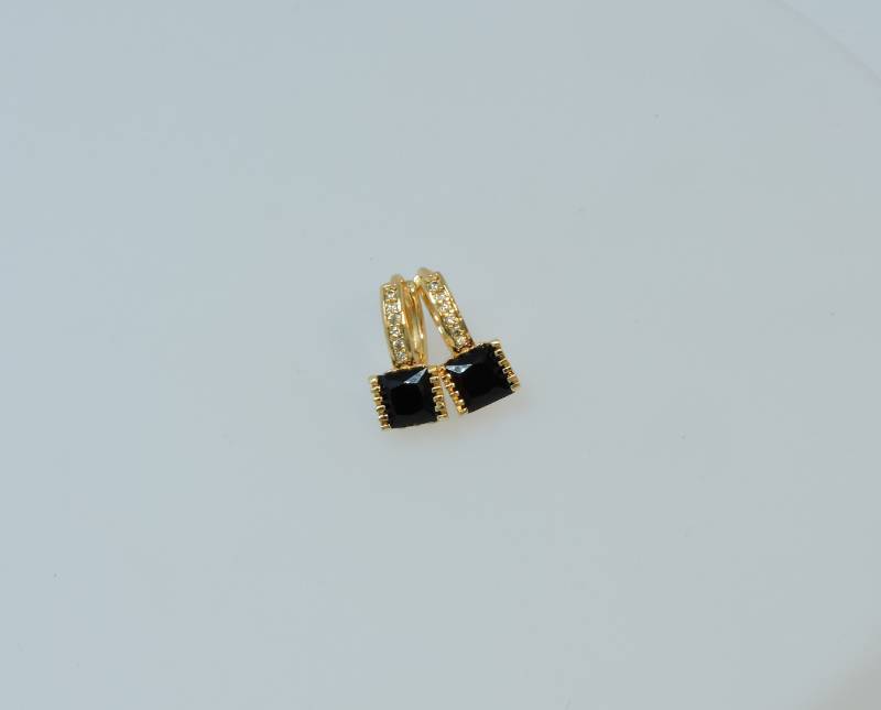 Earrings 13