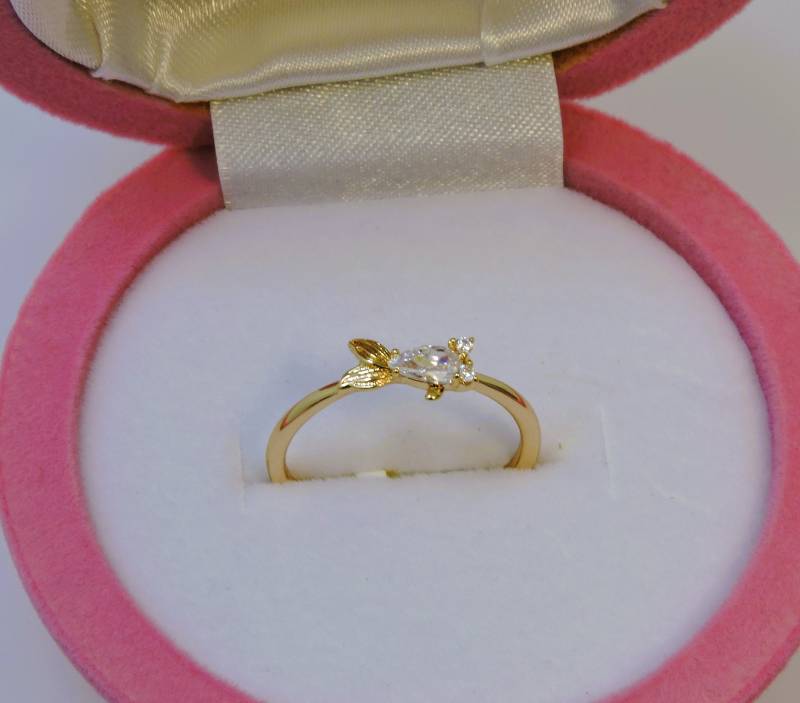 Ring27