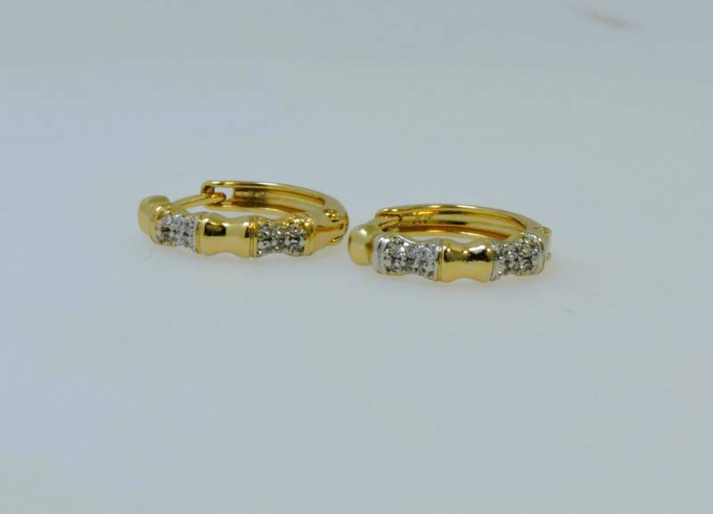 Earrings 20