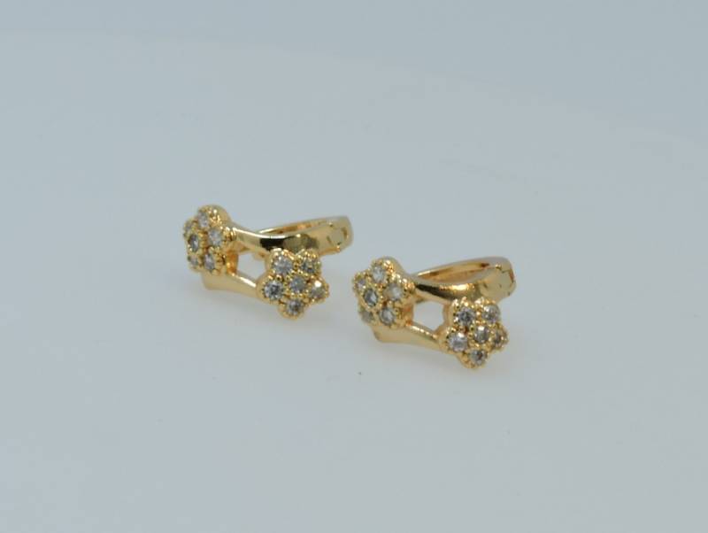 Earrings16
