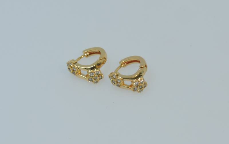 Earrings16