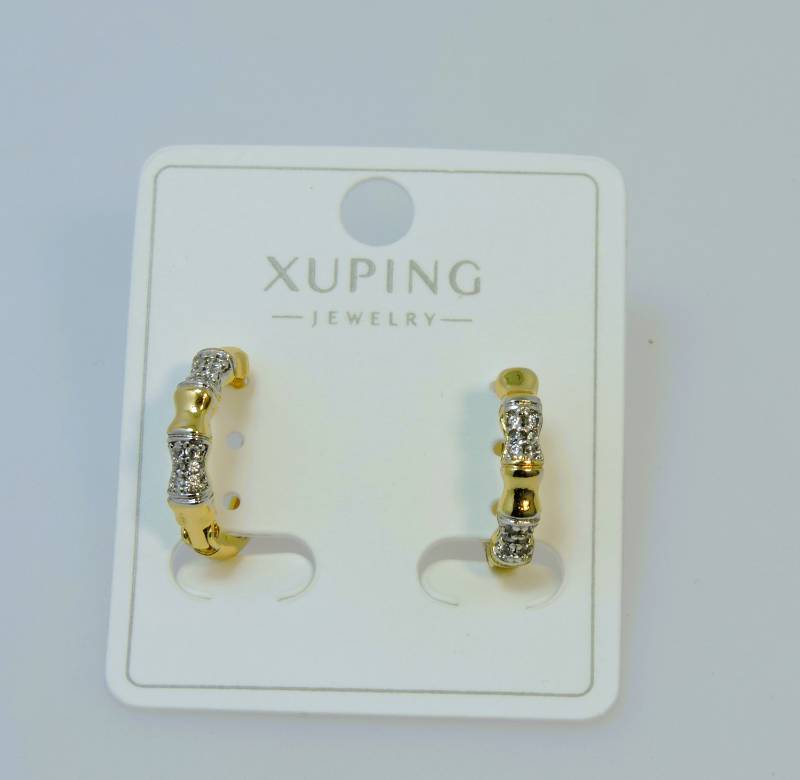 Earrings 20