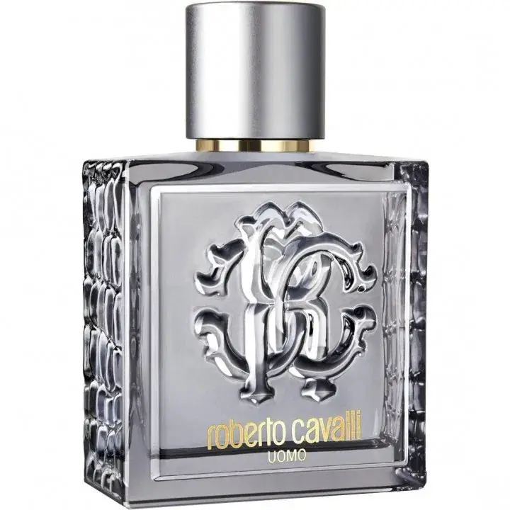 Roberto Cavalli Uomo Silver Essence [Discontinued]